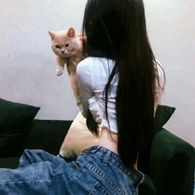 独臂双雄